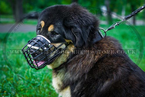 Wire Cage Dog Muzzle for Mastiff Dogs