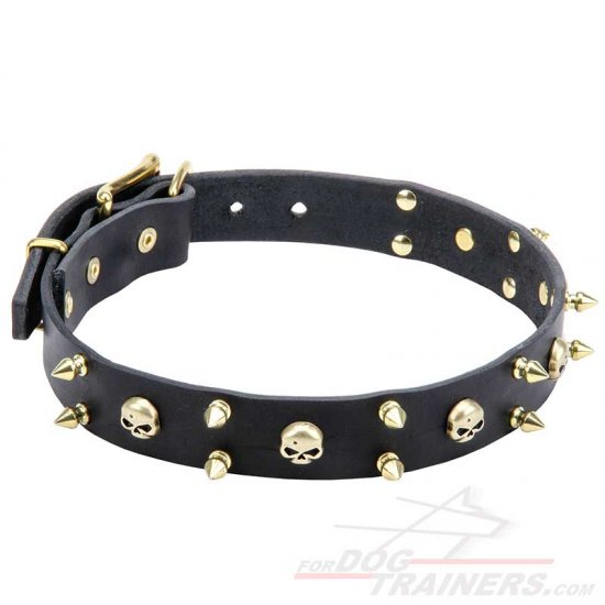 Embellished dog collars best sale