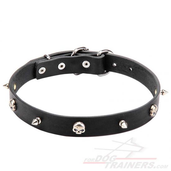 Skull Studded Dog Collar with Spikes Pirate Style for Mastiff Puppies The best Mastiff training equipment mastiff dog breed store 2024 BUY NOW