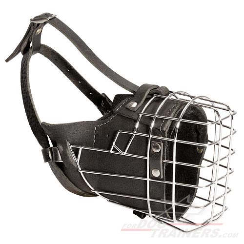 Mastiff hotsell dog muzzle