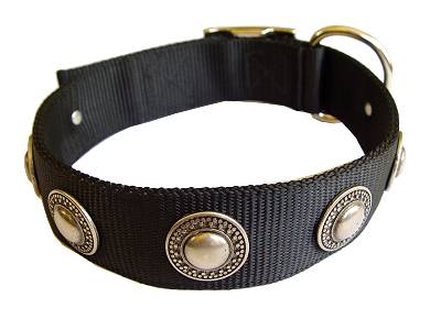 Exotic leather 2025 dog collars